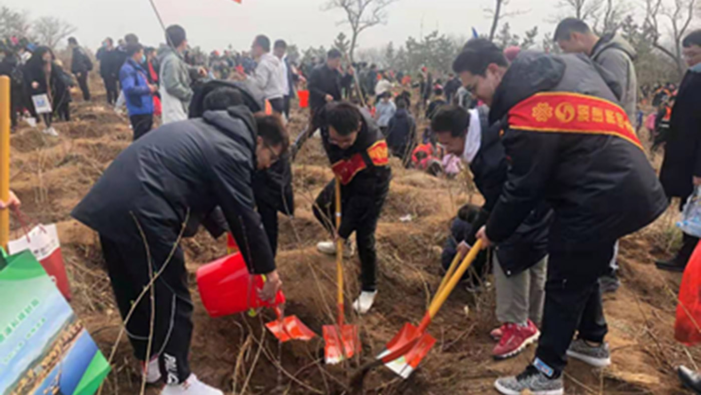 优德88团委组织青年志愿者参加团市委组织的“青春汇绿 美丽烟台”植树活动